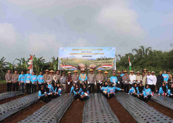 Dukung Swasembada Pangan Nasional, Polres Kepahiang Ikuti Penanaman Bawang Putih Serentak Bersama Poktan Cempa