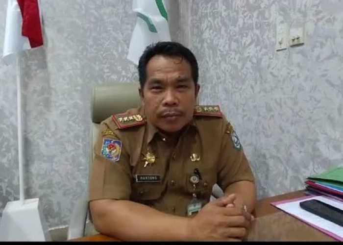 Butuh Banyak SDM, OPD di Kepahiang Masih Berdayakan TKS