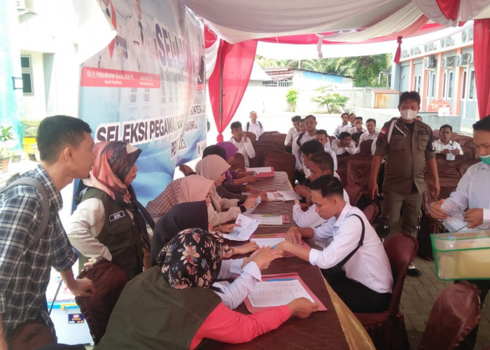 Honorer Non Database BKN di Kepahiang Bakal Dirumahkan!