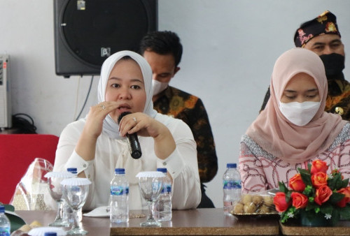 Pemilu Serentak 2024, Senator Riri Bicara Hoaks hingga Isu Perempuan