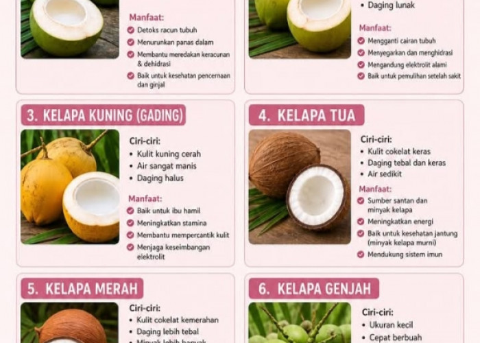 Jangan Salah Pilih! Ini Perbedaan Kelapa Hijau, Kuning, Tua, dan Manfaatnya