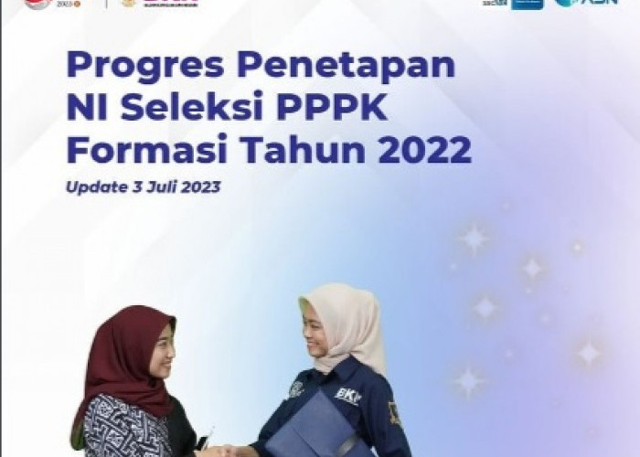 Per 3 Juli, BKN Rilis Progres Penetapan NIP Guru PPPK, PPPK Tenaga Kesehatan dan PPPK Teknis 2022 