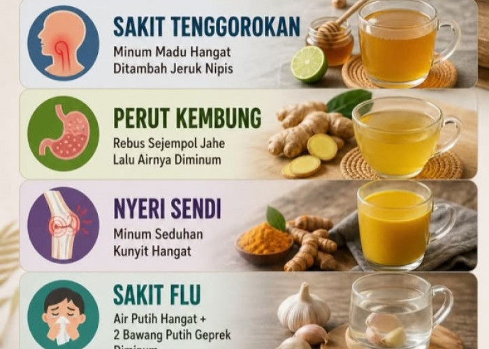 Sakit Sedikit Jangan Buru-buru Minum Obat: 6 Ramuan Dapur yang Bisa Jadi Pertolongan Pertama  