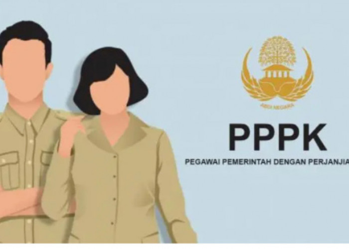 Cek Sekarang, 5 Tunjangan PPPK Ini Dicairkan per Februari