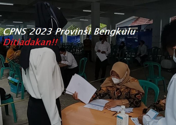 Sabar Ya, Tahun Ini Tidak Ada Pembukaan Pendaftaran CPNS di Bengkulu!