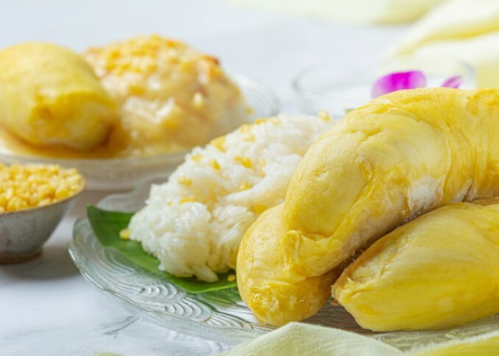 10 Macam Olahan Durian yang Dijamin Lezat dan Bikin Ketagihan