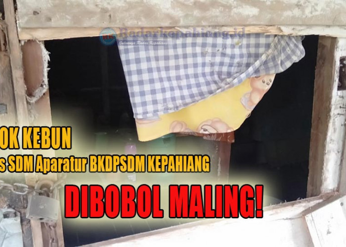 Merugi Jutaan Rupiah, Pondok Kebun Milik Analis SDM Aparatur BKDPSDM Kepahiang Dibobol Maling