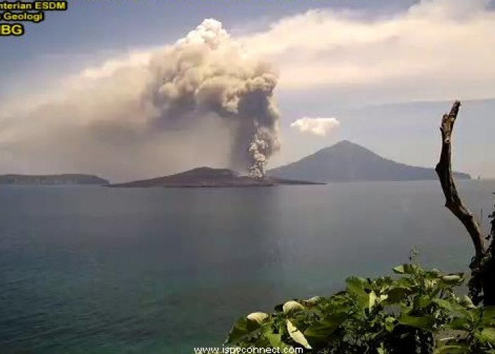 WASPADA Gunung Anak Krakatau Kembali Erupsi!