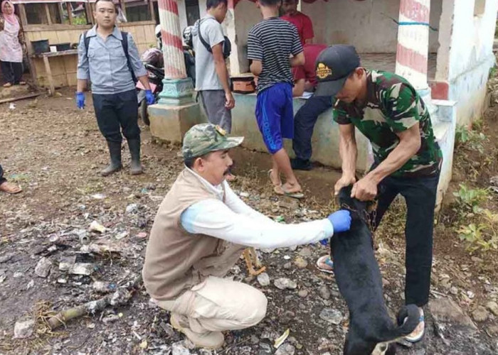 Anggaran Terbatas, Distan Kekurangan Alokasi Vaksin HPR