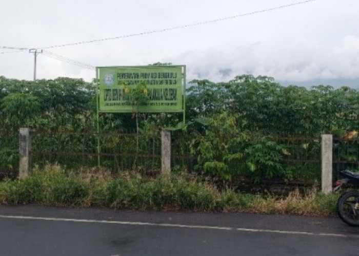 Koordinasi ke Pemprov Bengkulu, Pemkab Kepahiang Wacanakan Pembangunan Stadion dan Sport Center