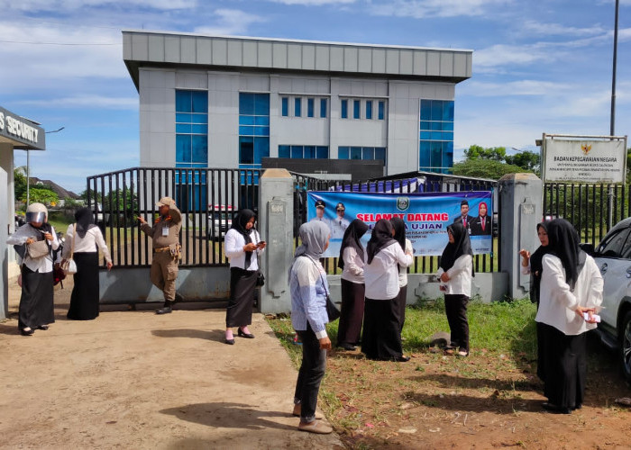 Ini Kategori THL yang Bisa Diangkat PPPK, Tapi!