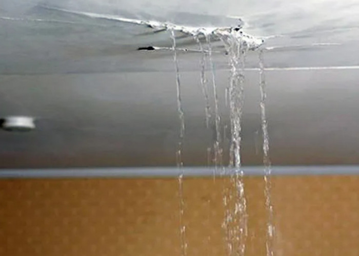 Cek Kebocoran Rumah dengan Cara Ini, Terapkan Sebelum Beli Rumah!