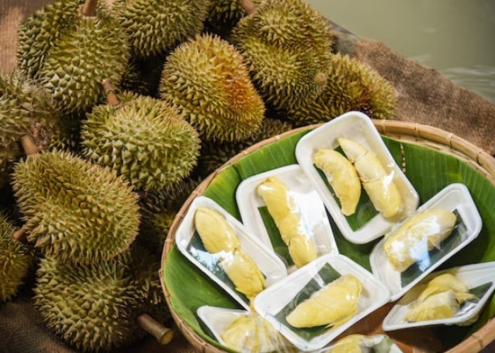 Nikmatnya Keberagaman Durian Indonesia, Mulai dari Durian Montong Hingga Durian Bokor