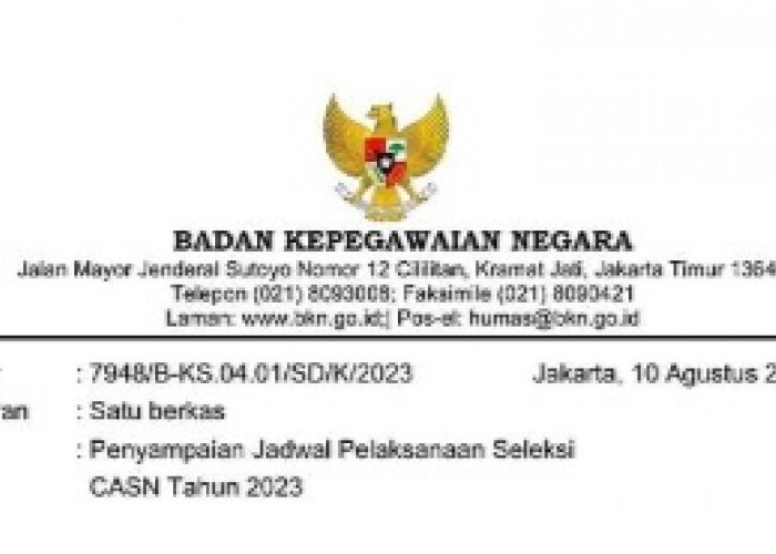 Tahapan dan Jadwal CPNS 2023 Sudah Beredar, BKN Beri Penjelasan!