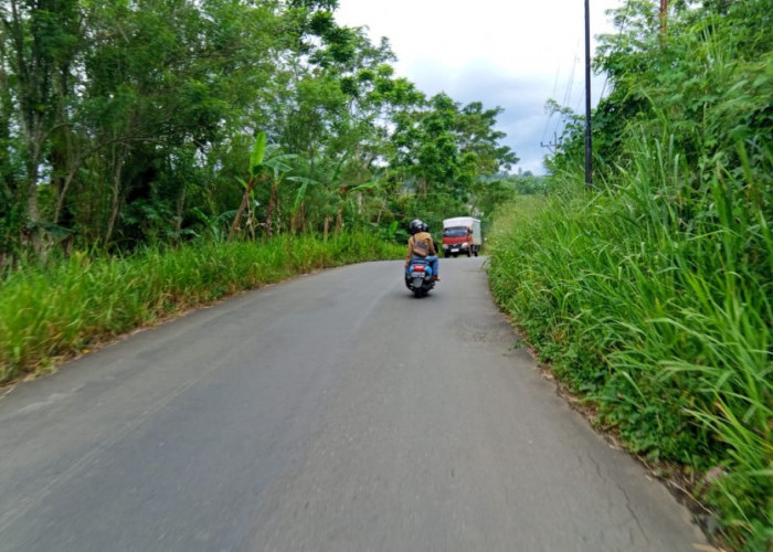 Jalan Lintas Bengkulu-Pagaralam 