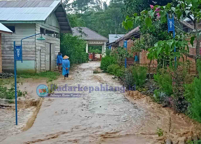 Sungai Tertik Meluap, Desa Air Pesi Kembali Terjang Banjir, Jonson: Warga Terpaksa Mengungsi!
