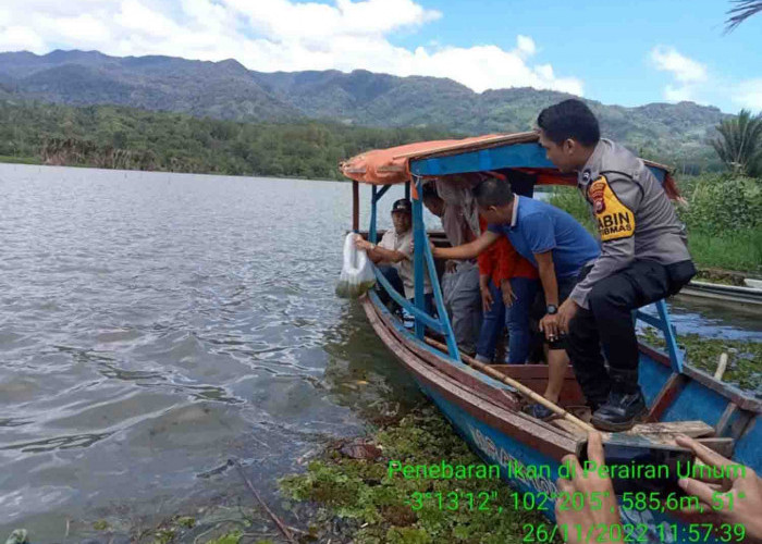 100 Ribu Ikan Nilem Dilepaskan di Danau Picung dan Tes
