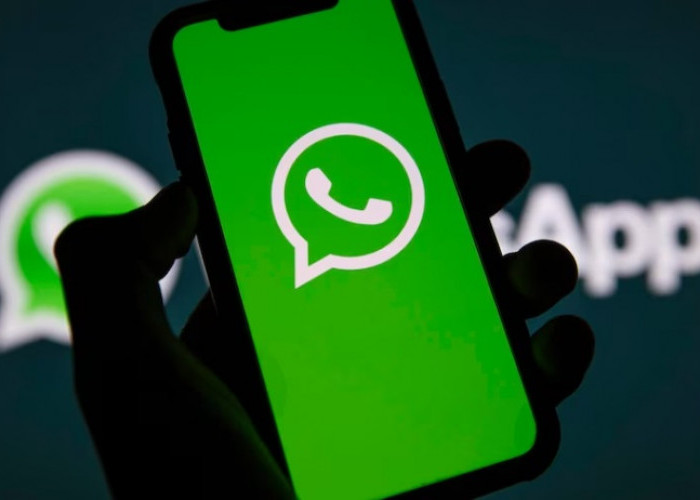 WhatsApp Dibajak, Simak Cara Cepat Mengatasi dan Mengamankan Akun WhatsApp yang Dibajak