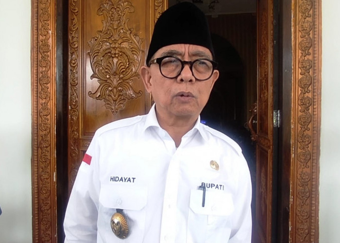 Formasi CPNS dan PPPK Belum Disetujui, Bupati Kepahiang Intruksikan BKDPSDM Hal Ini