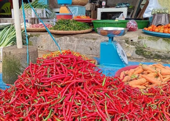 MENYALA! Harga Cabai di Kepahiang Tembus Rp70 Ribu/Kg