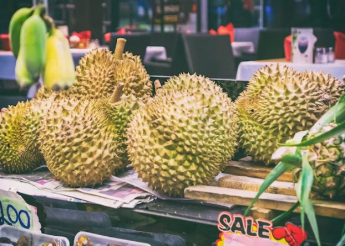 Jangan Mudah Tertipu, Begini 7 Cara Mudah Cek Durian Matang Dari Luar Tanpa Harus Dilobangi