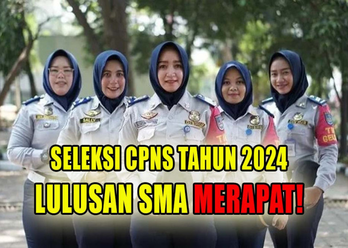 5 Instansi Ini Buka Formasi Seleksi CPNS Tahun 2024, Lulusan SMA Merapat!