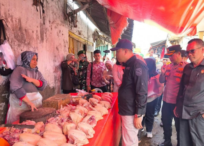 Jelang Tahun Baru Harga Ayam di Kepahiang Diprediksi Naik Lagi, Bisa Tembus Rp50 Ribu!
