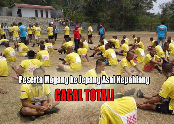 Gagal Total! Semua Peserta Magang ke Jepang Asal Kepahiang Tidak Lolos Seleksi