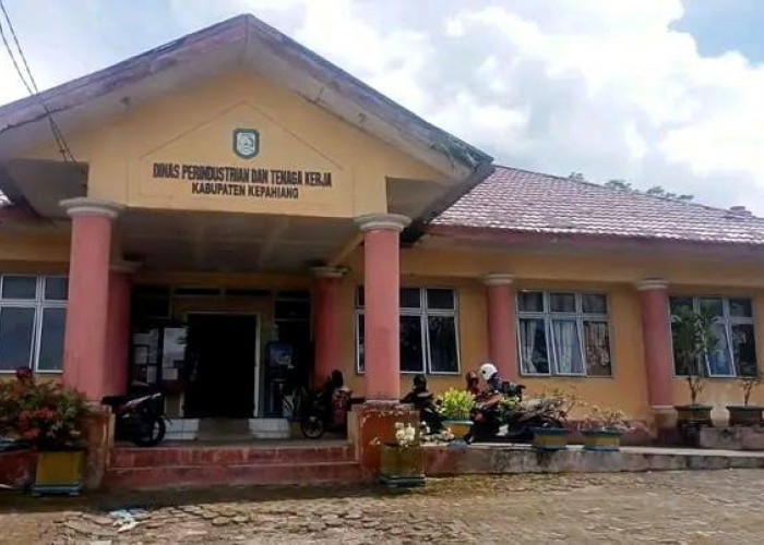 Disperinnaker Ingatkan Perusahaan Tak Sembarang PHK Karyawan, Sektor Industri di Kepahiang Masih Stabil