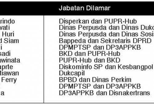 Hanya 13 Pendaftar, Pendaftaran Lelang JPTP Diperpanjang