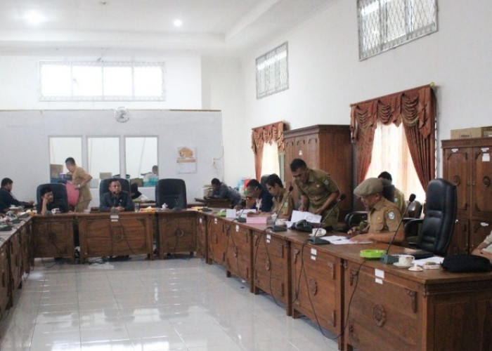 Pohon Tumbang Ancam Masyarakat, Komisi III Panggil BPBD dan DLH Kepahiang