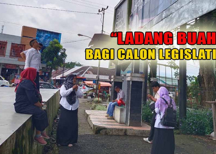 Jadi 'Ladang Buah' Calon Legislatif, Berikut Ini DPT Kabupaten Kepahiang per Kecamatan Pada Pemilu 2024 