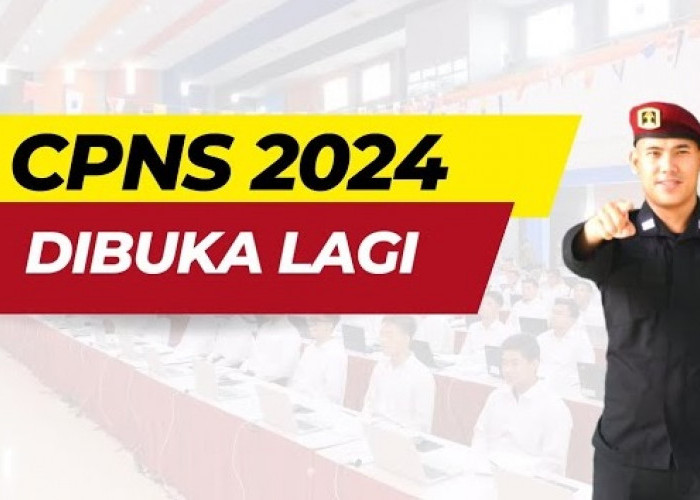 Fresh Graduate Siap-Siap, Pendaftaran CPNS 2024 Akan Dibuka Dengan Peluang Lebih Besar