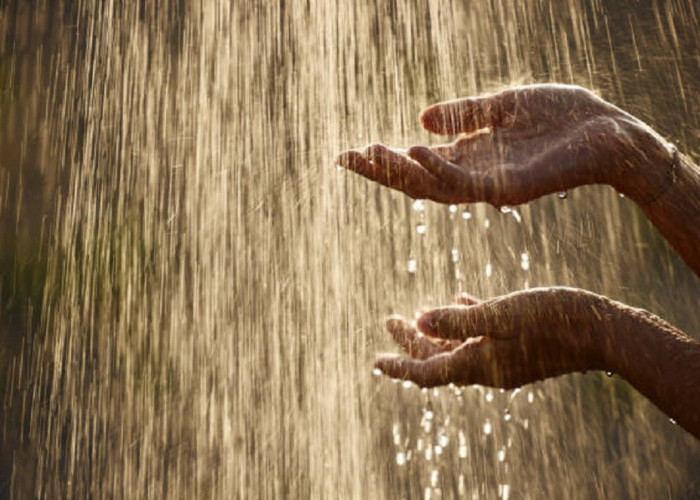Apakah Air Hujan Aman Dikonsumsi dan Bermanfaat Untuk Kesehatan, Ini Jawabannya!