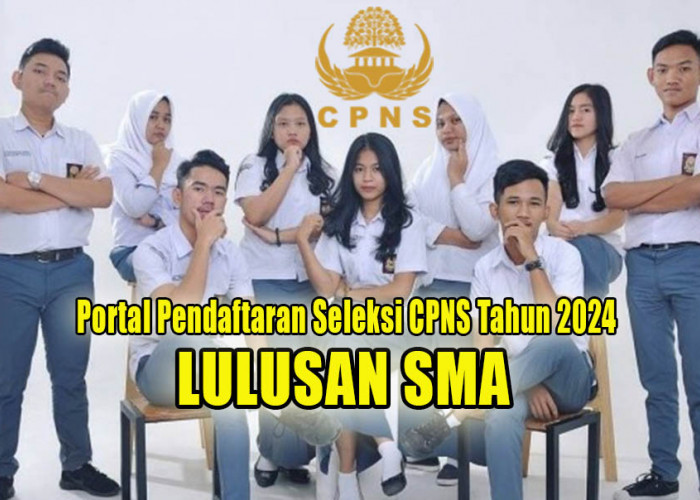 Termasuk Lulusan SMA, Simak dan Ikuti Alur Pendaftaran Seleksi CPNS Tahun 2024 di Portal SSCAN Ini