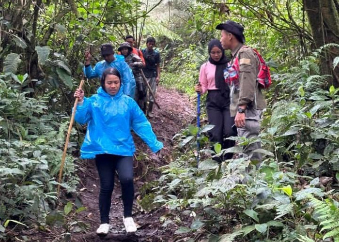 Sajikan Tampilan Alam Natural, Bukit Hitam Jadi Sasaran Wisatawan!