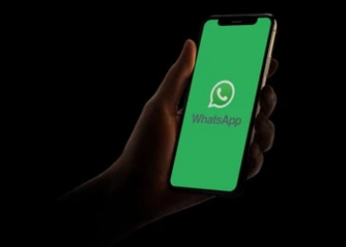 WhatsApp Resmi Rilis Fitur Baru Pesan Suara Rahasia Yang Dapat Terhapus Secara Otomatis