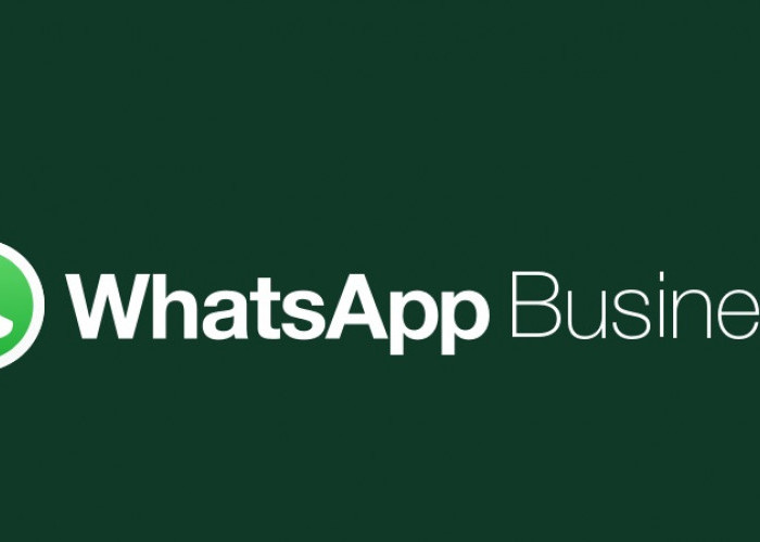 WhatsApp Business Luncurkan Fitur 