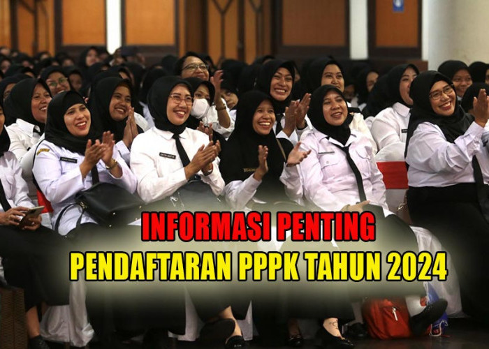 Informasi Penting Pendaftaran PPPK Tahun 2024, Tenaga Honorer Wajib Baca!