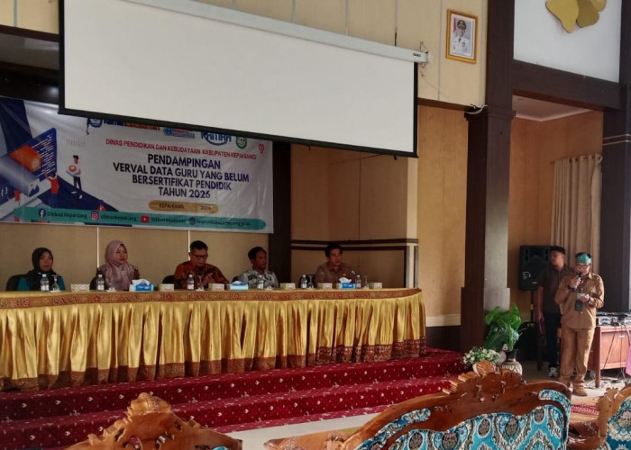 Deadline! Guru di Kepahiang Belum Verifikasi Ijazah, Nasib Sertifikasi di Ujung Tanduk