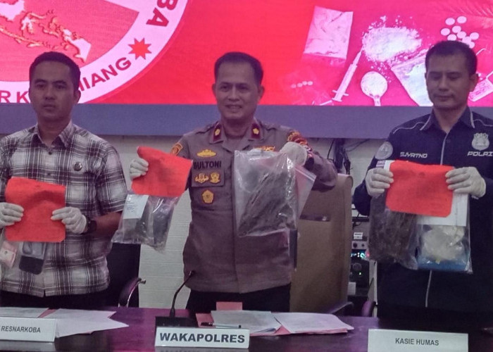 Pengedar Sabu dan Ganja,  5 Tersangka Diamankan 1 Berstatus Residivis