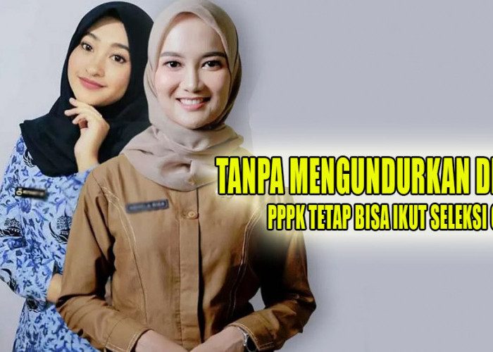 PPPK Bisa Mengikuti Seleksi CPNS Tahun2024 Tanpa Mengundurkan Diri, Tapi Ini Syaratnya!