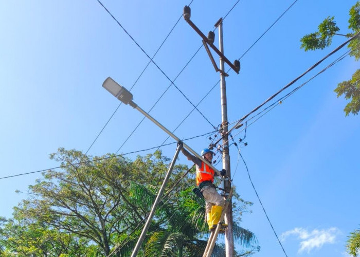 Bupati Kepahiang Penuhi Janjinya, Perbaiki LPJU Sepanjang Jalan Protokol