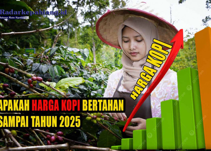 Apakah Harga Kopi Indonesia Dapat Bertahan Hingga Tahun 2025, Petani Kopi Wajib Tahu Prediksi Harga Kopi!