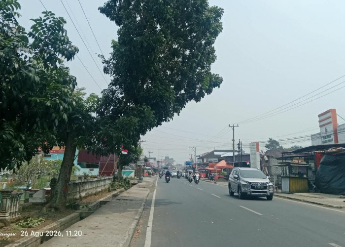 Asap Tebal Selimuti Kepahiang, Kasus ISPA Melonjak hingga 50 Persen