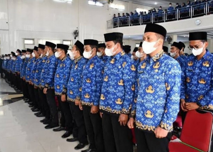 Besar Populasi Tenaga PPPK dan Alokasi Gaji di Sulawesi Selatan