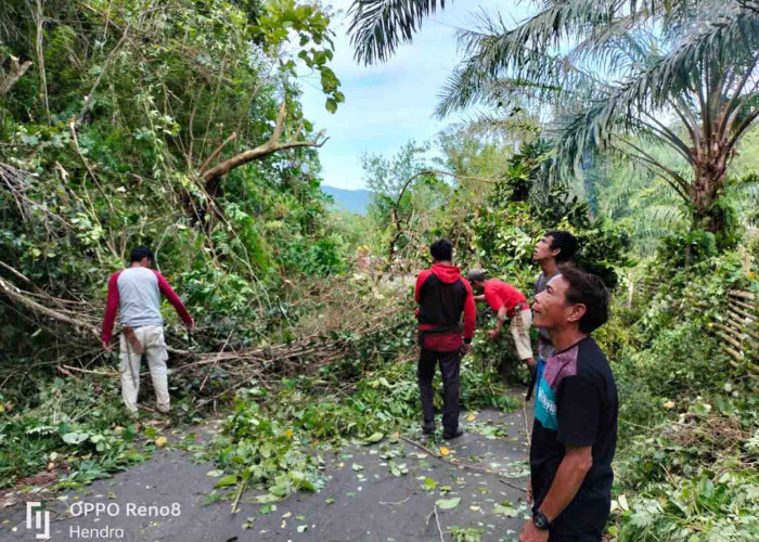 Jalan Kabupaten Menyemak