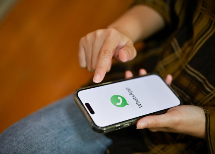 Cara Bikin WhatsApp Terlihat Tidak Aktif biar Tidak Terganggu Saat Cuti Kerja