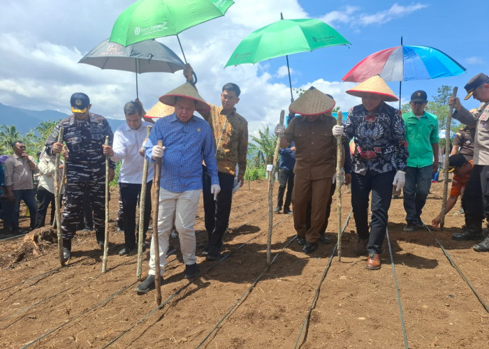 Kunker ke Lebong, Ketua DPD RI Ikut Tanam Kedelai
