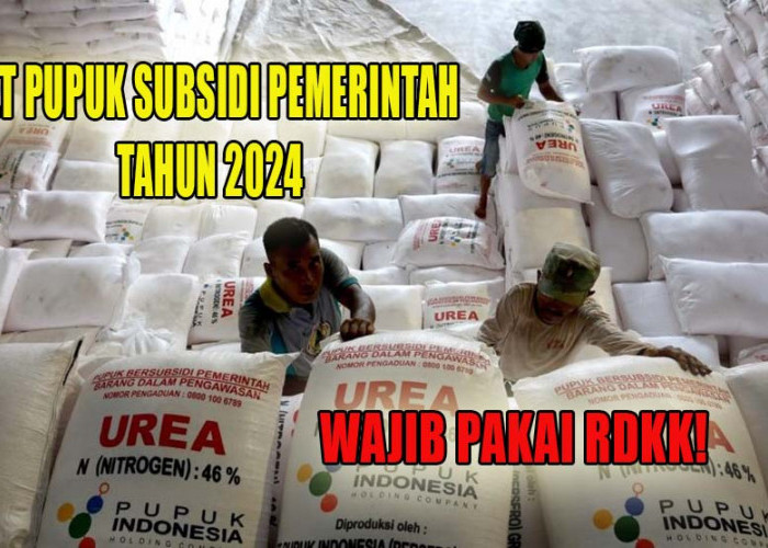 Petani Wajib Buat RDKK, Berikut Ini HET Pupuk Subsidi Pemerintah Terbaru Tahun 2024